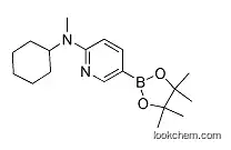 Molecular Structure of 1073354-73-0 (6-[CYCLOHEXYL(METHYL)AMINO]PYRIDINE-3-BORONIC ACID PINACOL ESTER)